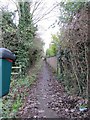 Bin by the footpath