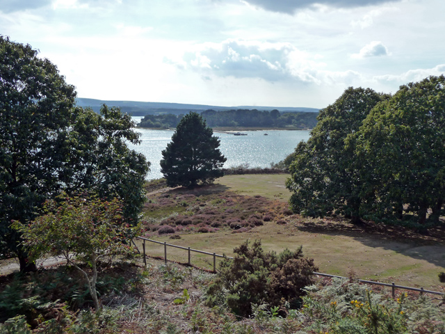 Scout Campsite Brownsea Area © Phil Champion Cc By Sa20 Geograph Britain And Ireland 7097