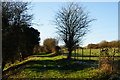 The Path to Upper Froyle, Hampshire