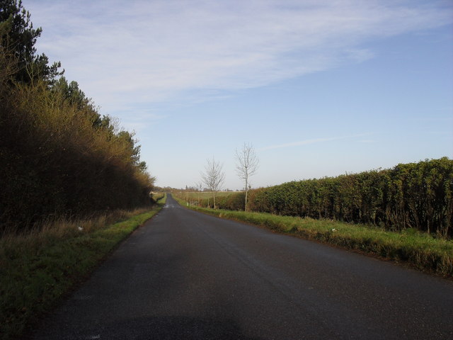 Road from Gainfield to Buckland