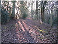 Bridleway south past perimeter fence of Marlands