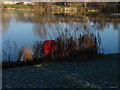 Goldsworth Park Lake