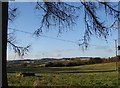 Field near the crossroads, Gaerllwyd