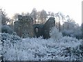 NH8952 : Rait Castle, near Nairn by nairnbairn