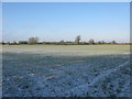 Farmland on Hinton Marsh