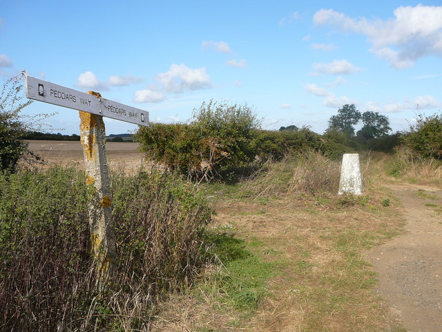 The Peddars Way at Massingham Heath