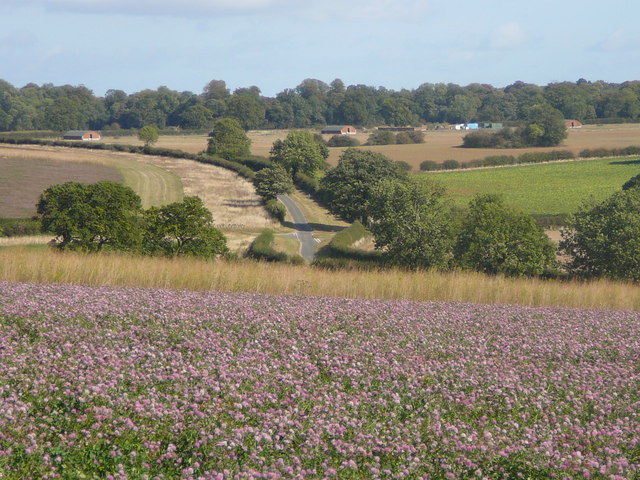 Clover field east of Marwicks Wood