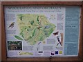 Woodlands and Orchards Information Board