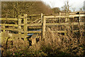 Stile on footpath east of Staverton