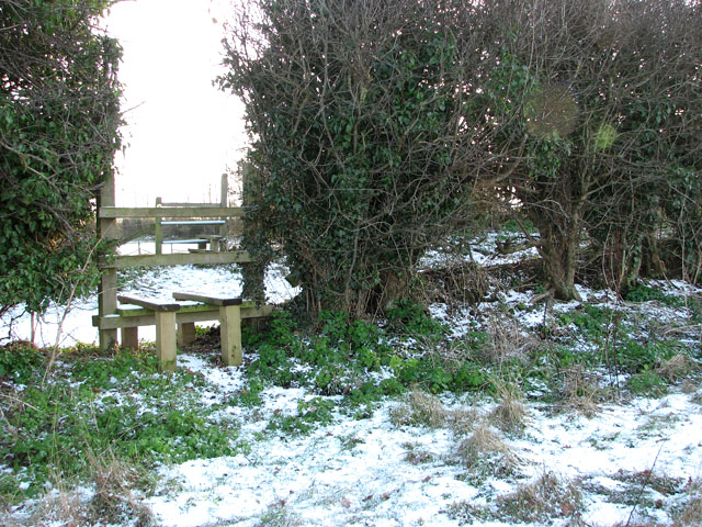 Stile in hedgerow