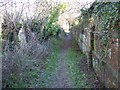 Footpath, Manswood