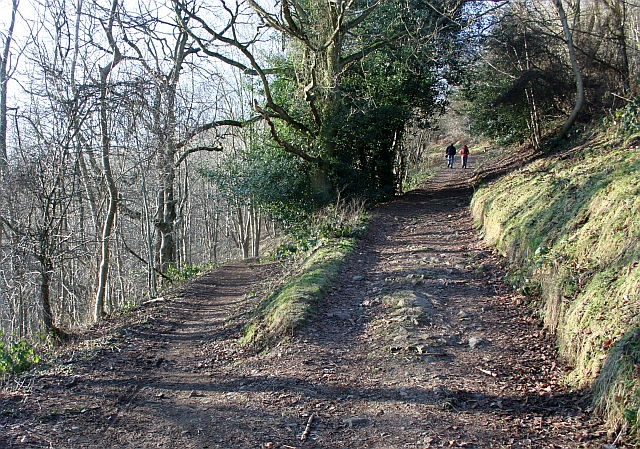Path crossing on the side of the Malvern Hills