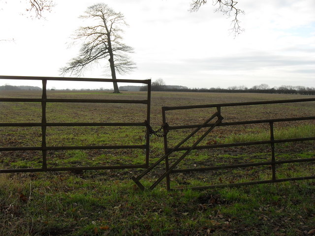 Gates into the field