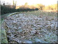 Grand Union Canal: Silted up bay