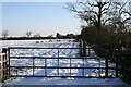 Gate and hedge off Lime Lane