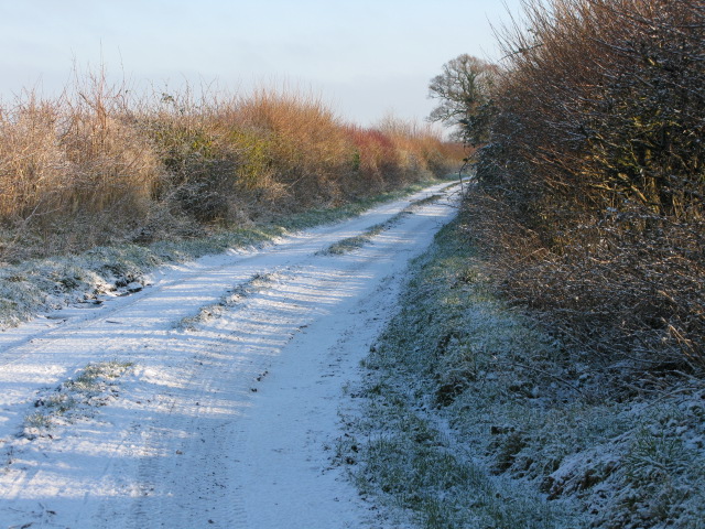 The Lane, Hinton Marsh © Nick Smith cc-by-sa/2.0 :: Geograph Britain ...