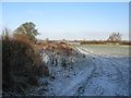 View across fields to Hinton Marsh Farm