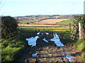 Looking towards Trenarth from Durgan crossroads