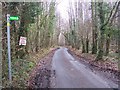 Penny Pot Lane in Denge Wood