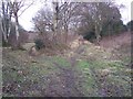 Footpath and track junction in Denge Wood