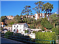 House and flats in Wellswood, Torquay