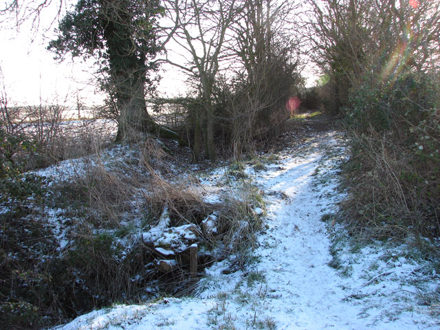 Frosty path to Hales Hall
