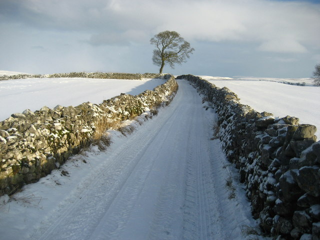 Thorpe Lane in Winter