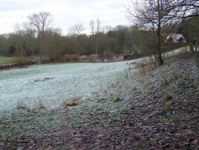 Frosty field, Gomeldon