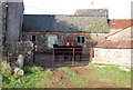 Two calves in the farmyard, Slowley Farm