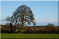 View Towards Bentley, Hampshire