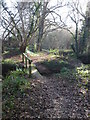 Footbridge on path approaching Botley Park Golf Course