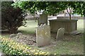 St Nicholas, Old Shoreham, Sussex - Churchyard