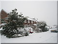 Snow covered homes in Woodstock Road