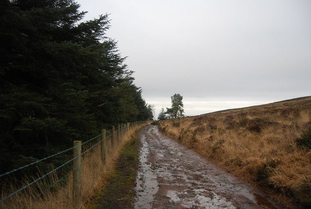 Track follows the moorland / woodland boundary