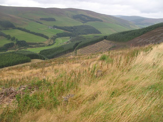 Clear fell area, Caberston Forest