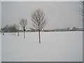 Looking across from Stockheath Lane towards Riders Lane