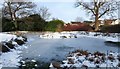 Frozen pond near Strathleven House