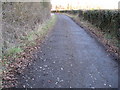 Bridleway that links Itchingfield to Horsham