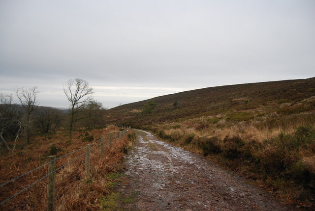 Bridleway between Black Hill & Withycombe Scruffets