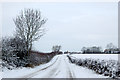 Lane east of Long Itchington in the snow