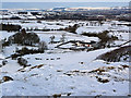 Snowy scene at Glanderston Mains