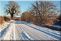 NS3105 : A Snowy B741 Near Rowanston Farm by Mary and Angus Hogg