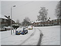 Lamppost in a snowy Woodgreen Avenue