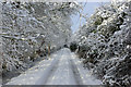 Bridleway in the snow