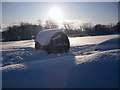 NT4836 : A Snowbound Grass Roller on Gala Cricket ground by Iain Lees