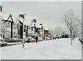 Westminster Avenue, Penn, Wolverhampton