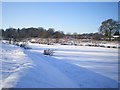 Heronbrook Fisheries, Wergs Hall Road (2)