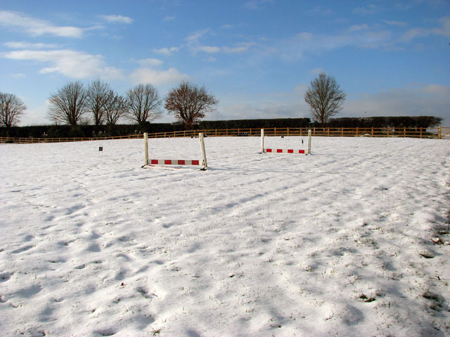 Snow in paddock south of Surlingham Lane