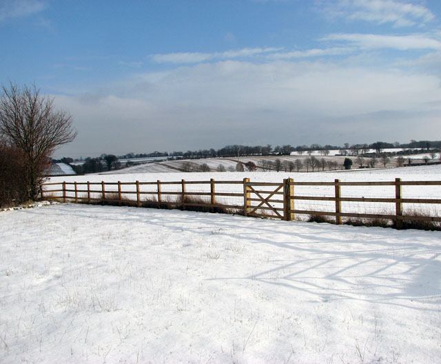 Snowy fields south of Surlingham
