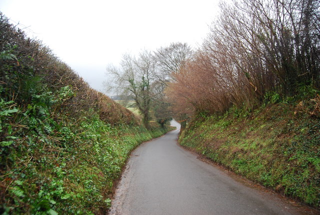 Lane west of the A358 near Crowcombe